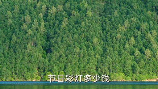 節(jié)日彩燈多少錢
