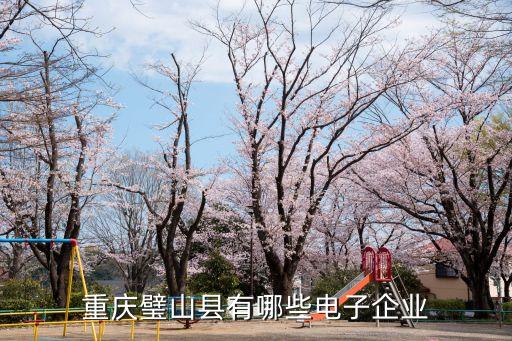 重慶璧山縣有哪些電子企業(yè)