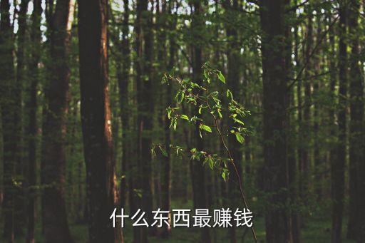 什么東西最賺錢