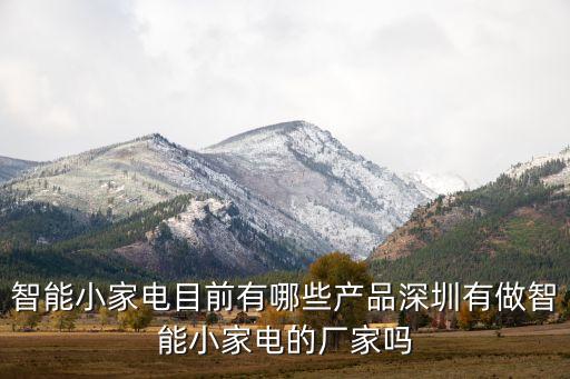 智能小家電目前有哪些產(chǎn)品深圳有做智能小家電的廠家嗎