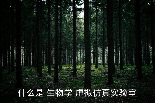 什么是 生物學(xué) 虛擬仿真實(shí)驗(yàn)室