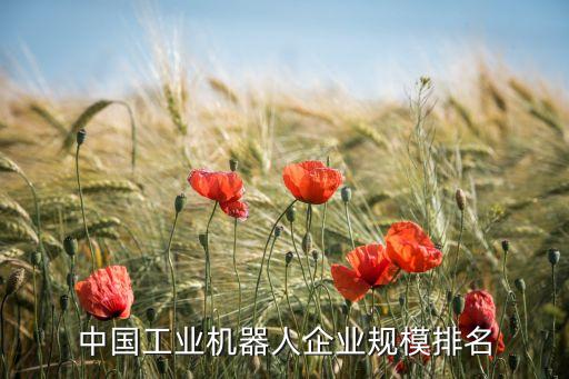 中國(guó)工業(yè)機(jī)器人企業(yè)規(guī)模排名