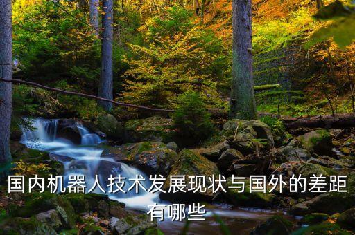 國內(nèi)機器人技術(shù)發(fā)展現(xiàn)狀與國外的差距有哪些