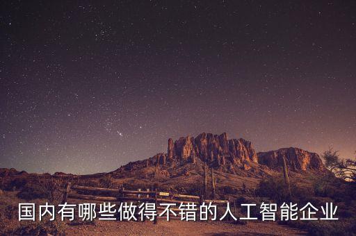 國內(nèi)有哪些做得不錯的人工智能企業(yè)