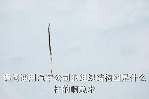請(qǐng)問通用汽車公司的組織結(jié)構(gòu)圖是什么樣的啊急求
