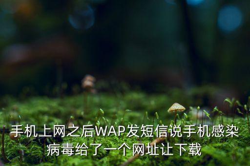 手機(jī)上網(wǎng)之后WAP發(fā)短信說手機(jī)感染病毒給了一個(gè)網(wǎng)址讓下載