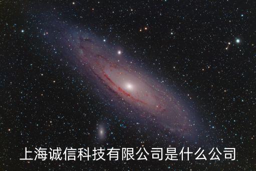 上海誠信科技有限公司是什么公司