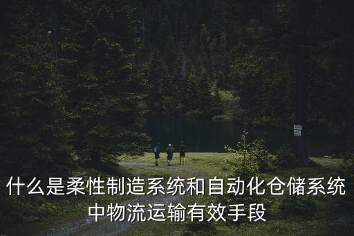 什么是柔性制造系統(tǒng)和自動(dòng)化倉(cāng)儲(chǔ)系統(tǒng)中物流運(yùn)輸有效手段