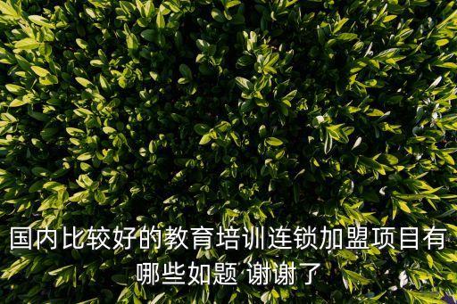 國(guó)內(nèi)比較好的教育培訓(xùn)連鎖加盟項(xiàng)目有哪些如題 謝謝了