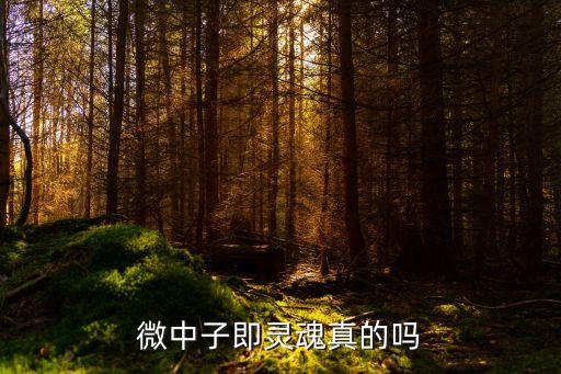 微中子即靈魂真的嗎