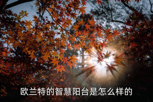 智能陽臺(tái)設(shè)計(jì)方案，南京精倫實(shí)業(yè)智能全屋整裝陽臺(tái)怎么裝好看