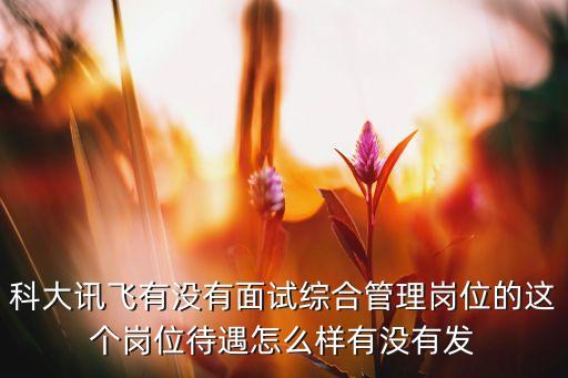 科大訊飛有沒有面試綜合管理崗位的這個(gè)崗位待遇怎么樣有沒有發(fā)