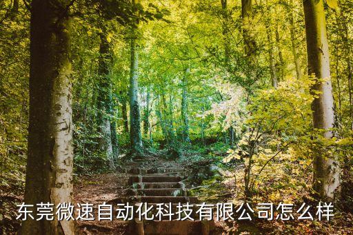 東莞微速自動化科技有限公司怎么樣