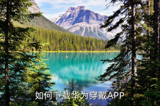 華為穿戴app下載安裝，下載華為穿戴APP