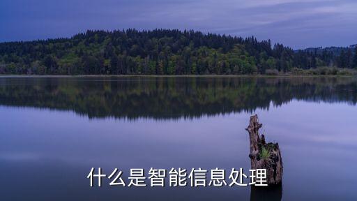 什么是智能信息處理