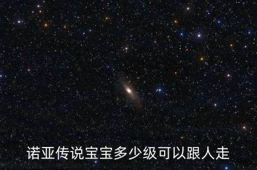 諾亞傳說寶寶多少級可以跟人走