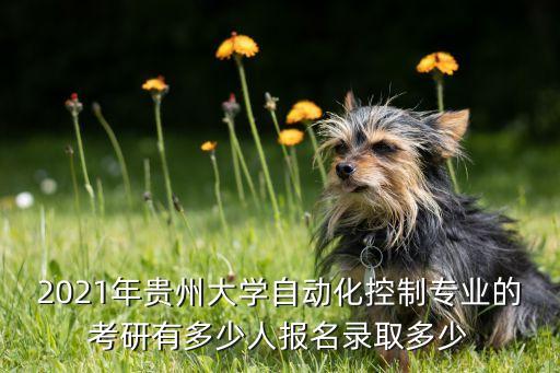 貴州大學(xué)自動化學(xué)院，貴州大學(xué)的自動化專業(yè)怎么樣