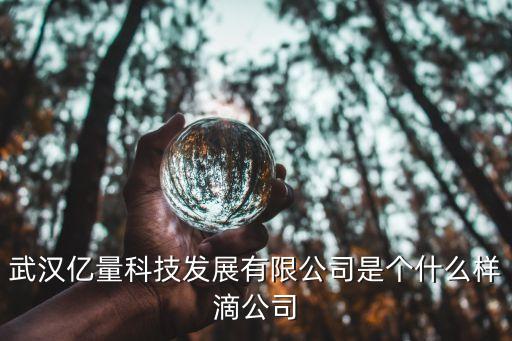 武漢億量科技發(fā)展有限公司是個(gè)什么樣滴公司