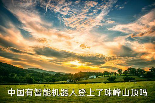 中國(guó)有智能機(jī)器人登上了珠峰山頂嗎