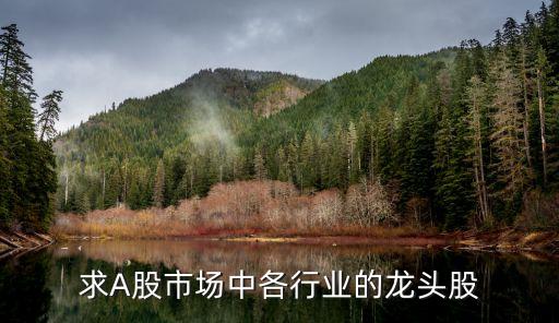 求A股市場中各行業(yè)的龍頭股