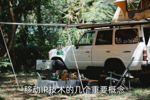 移動IP技術(shù)的幾個重要概念