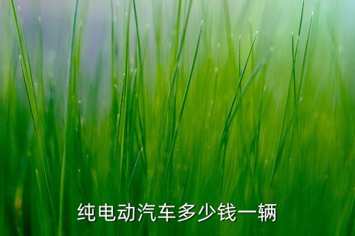 純電動(dòng)汽車多少錢一輛