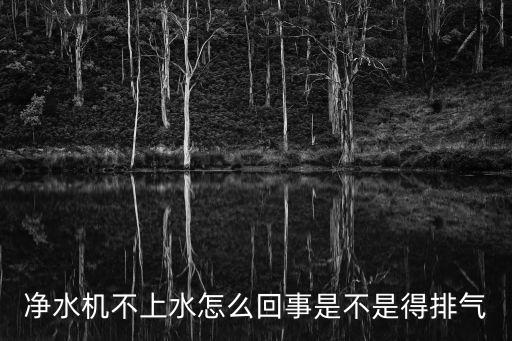 凈水機(jī)不上水怎么回事是不是得排氣