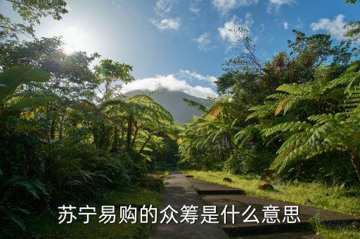 蘇寧易購的眾籌是什么意思
