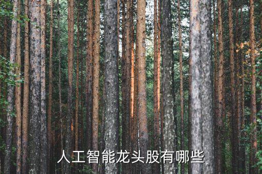 國(guó)內(nèi)十大人工智能股票有哪些公司，人工智能方面的股票名字有哪些
