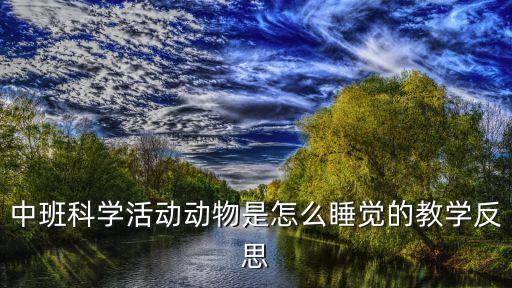 中班科學(xué)活動(dòng)動(dòng)物是怎么睡覺(jué)的教學(xué)反思