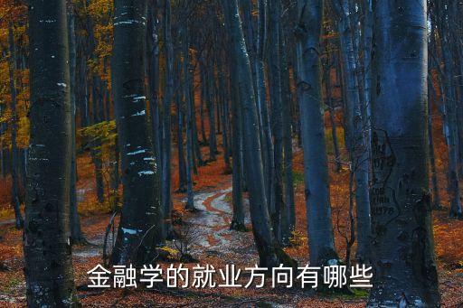 金融學的就業(yè)方向有哪些