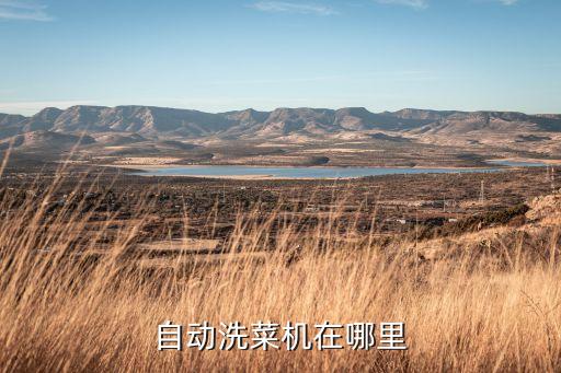 自動洗菜機(jī)在哪里