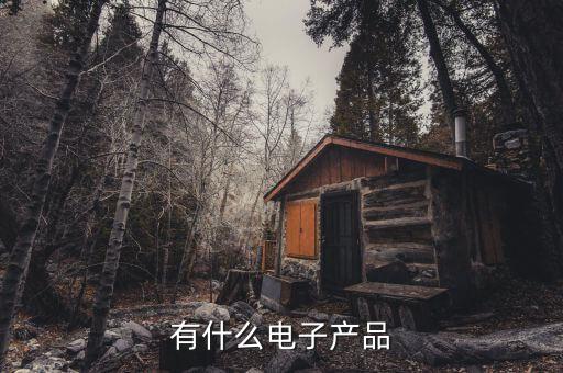 有什么電子產(chǎn)品