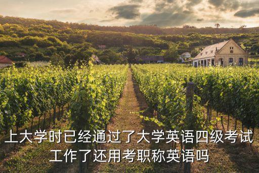 美國科學技術獎，美國有沒有互聯網杰出科技成就獎