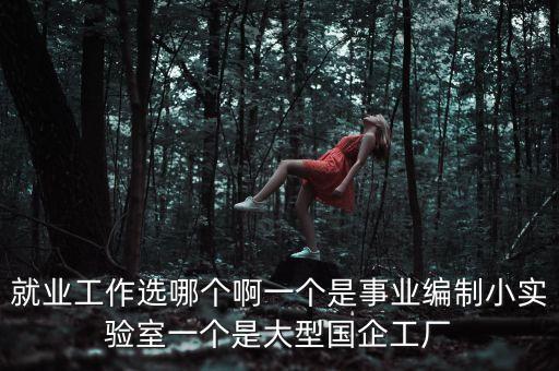 就業(yè)工作選哪個啊一個是事業(yè)編制小實驗室一個是大型國企工廠