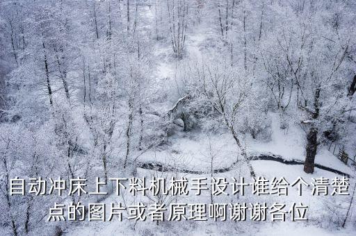 自動(dòng)沖床上下料機(jī)械手設(shè)計(jì)誰(shuí)給個(gè)清楚點(diǎn)的圖片或者原理啊謝謝各位
