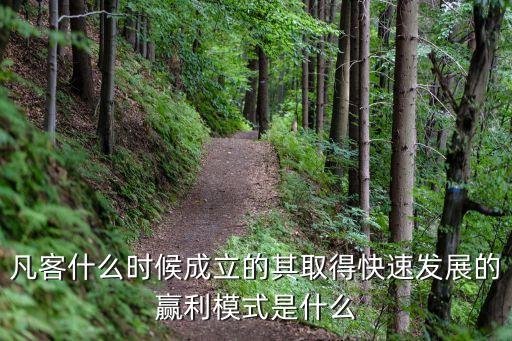 凡客創(chuàng)意科技有限公司，凡客什么時(shí)候成立的其取得快速發(fā)展的贏利模式是什么