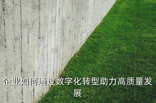 企業(yè)如何通過數(shù)字化轉型助力高質量發(fā)展
