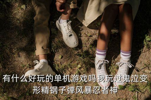 都市科技霸權第八區(qū)，有什么好玩的單機游戲嗎我玩過鬼泣變形精鋼子彈風暴忍者神