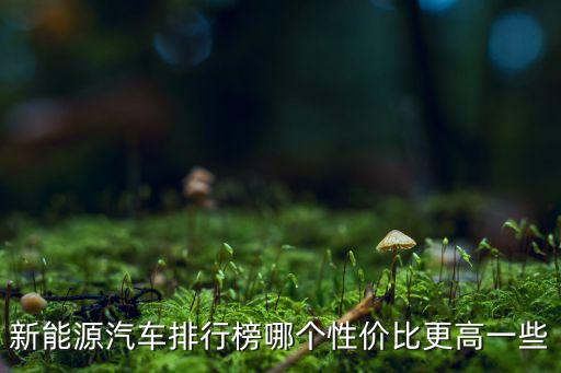 新能源汽車排行榜哪個(gè)性價(jià)比更高一些