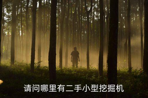 請問哪里有二手小型挖掘機