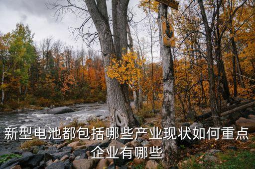 新型電池都包括哪些產(chǎn)業(yè)現(xiàn)狀如何重點(diǎn)企業(yè)有哪些