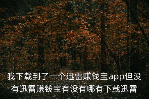我下載到了一個迅雷賺錢寶app但沒有迅雷賺錢寶有沒有哪有下載迅雷