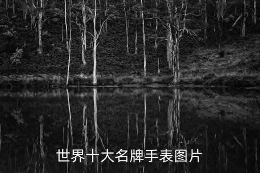 智能手表十大名牌排名圖片，世界十大名牌手表圖片