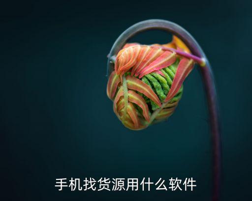手機(jī)找貨源用什么軟件
