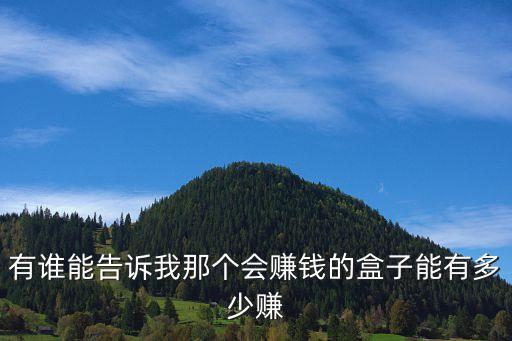 賺錢盒子，有誰能告訴我那個(gè)會賺錢的盒子能有多少賺