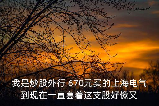 被嚴(yán)重低估的上海電氣，我是炒股外行 670元買的上海電氣到現(xiàn)在一直套著這支股好像又