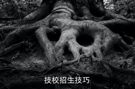 技校招生技巧