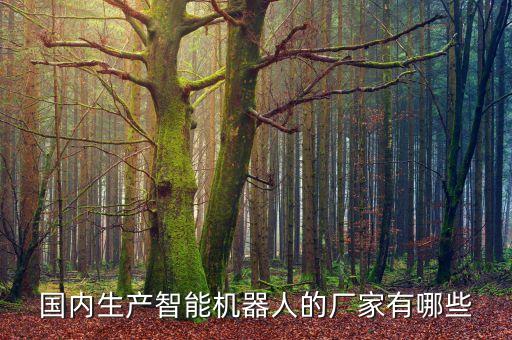 國內(nèi)生產(chǎn)智能機(jī)器人的廠家有哪些