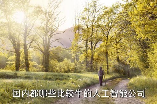 國內(nèi)都哪些比較牛的人工智能公司